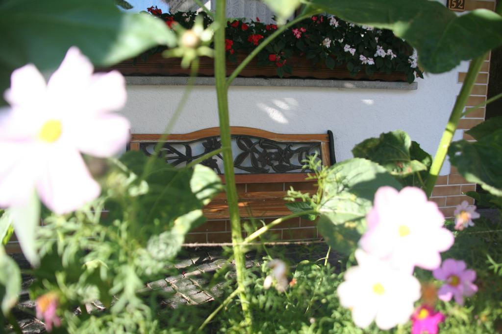 Hotel - Restaurant Berghof Berghausen  Bagian luar foto